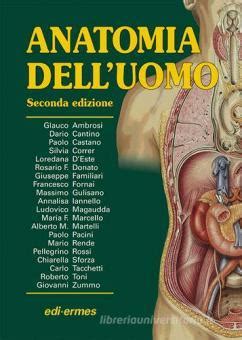 edi hermes anatomia|Anatomia dell'uomo .